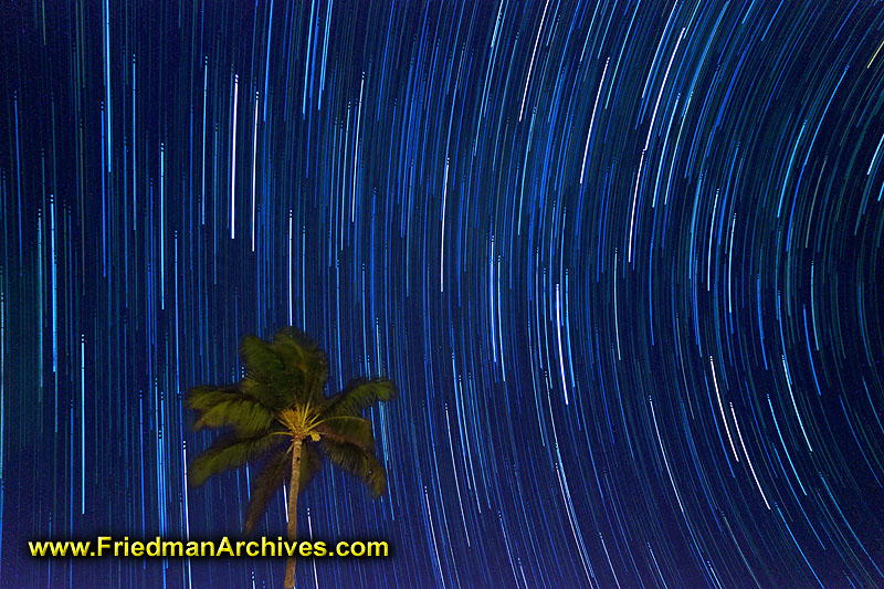 astronomy,stars,trails,star,palm,tree,night,time exposure,long exposure,